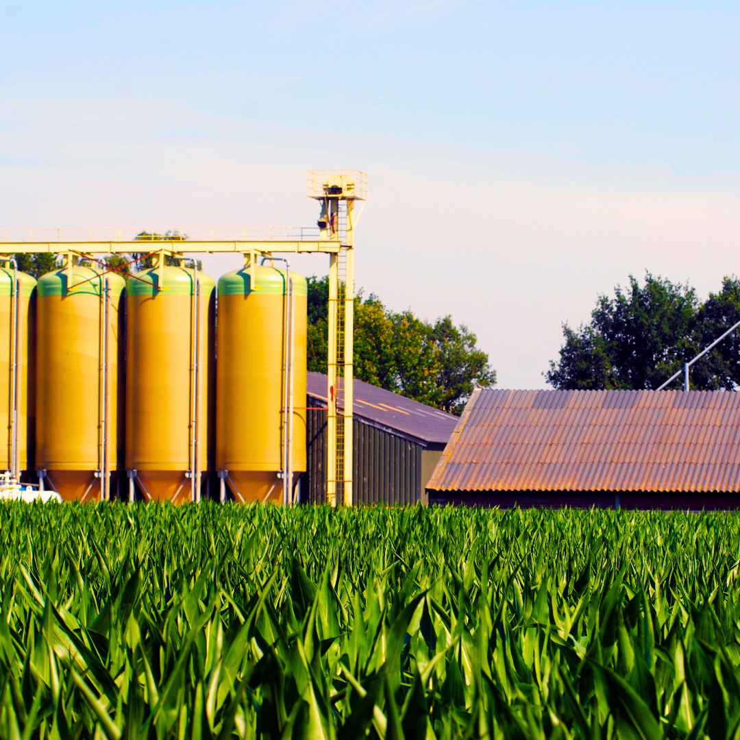 Keeping agriculture small.png Keeping agriculture small.png